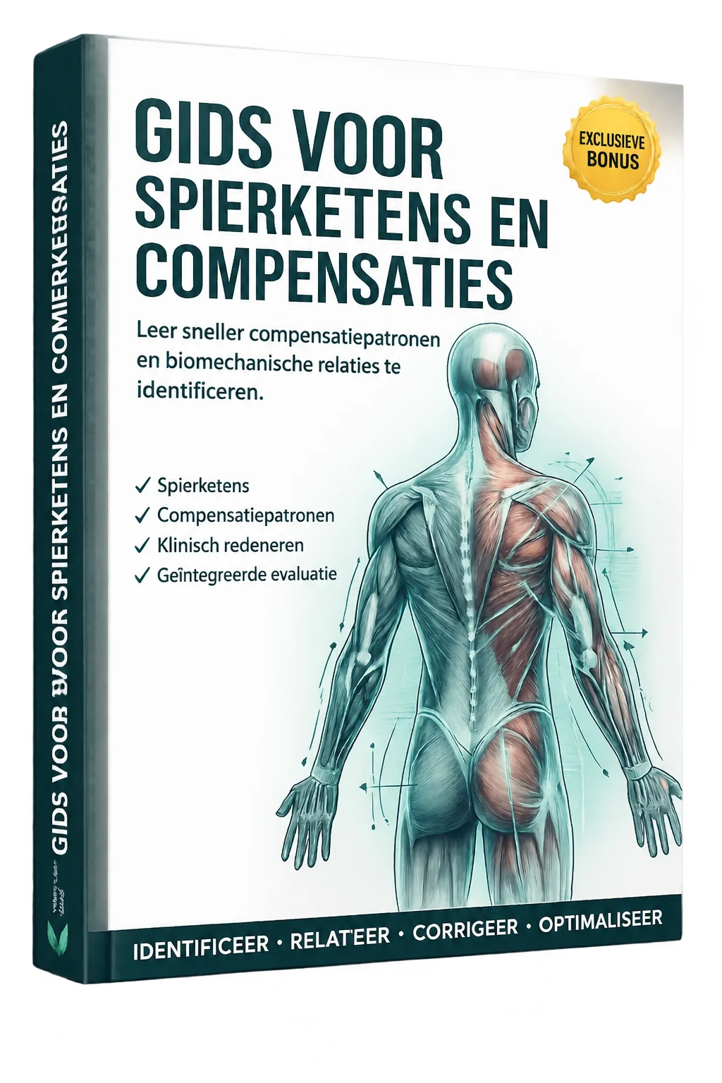 Gids voor Spierketens en Compensaties